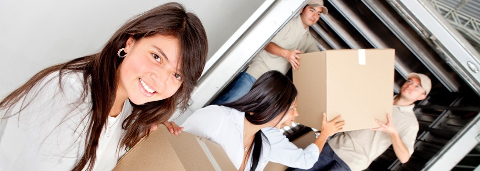 Professional Removalists Greenlands QLD